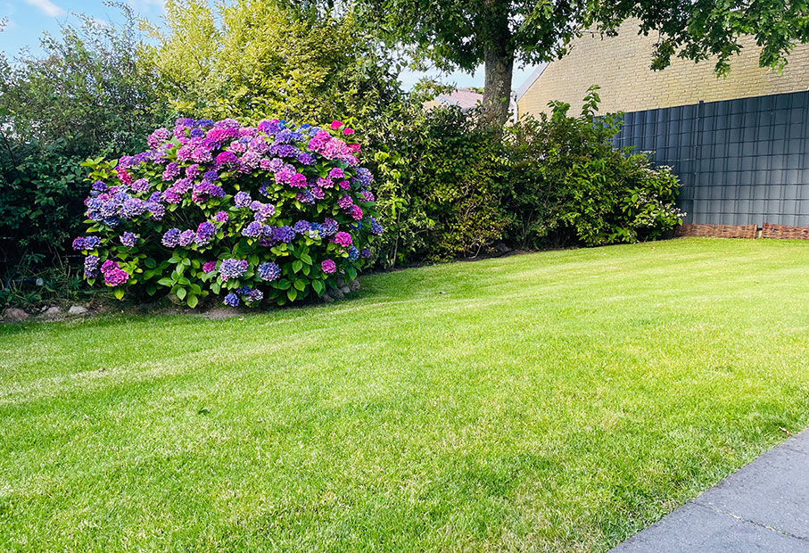 Ferienhaus auf Sylt mit eigenem Garten 