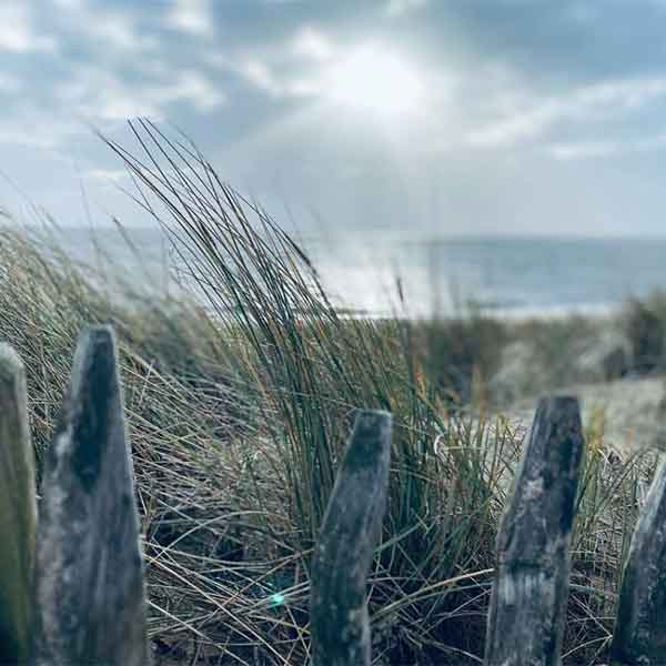 Folgen Sie Sylt Seascape auf Instagram